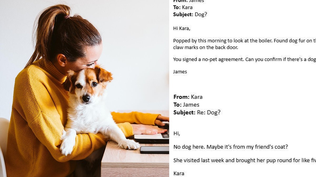 Landlord James discovered his tenant Kara was secretly living with a dog despite strict no-pet rule - but what happened next left him fuming