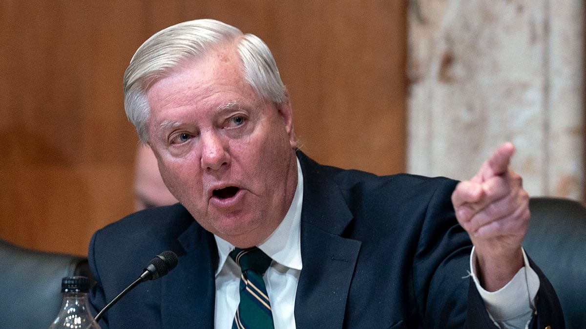 Lindsey Graham fires back at Tesla CEO Elon Musk in sharp exchange