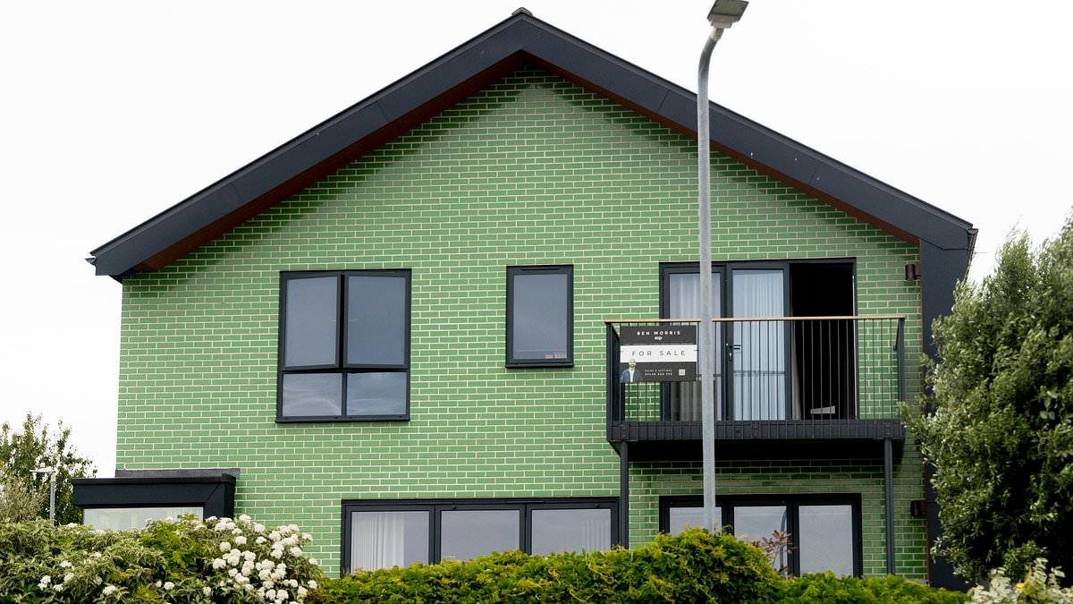 EXCLUSIVE Couple who built bright green extension 'blocking sea view' of furious neighbours put near £1m home up for sale just months later