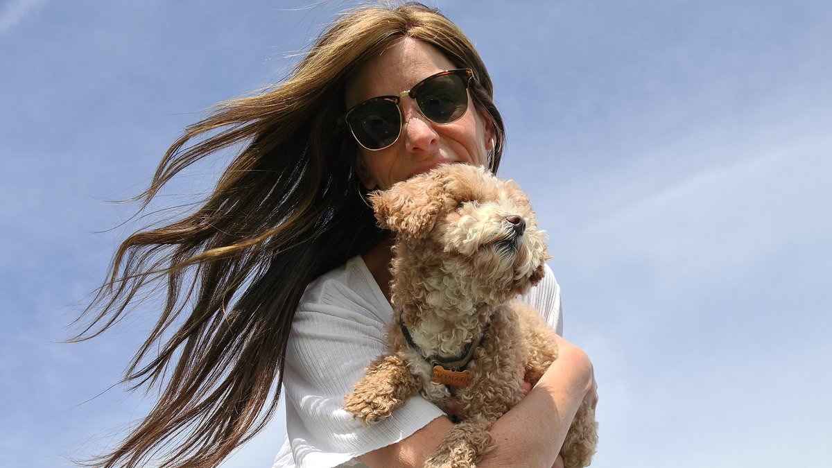 EXCLUSIVE Hidden cost of designer dogs the breeders won't tell you about: Pet owners say trendy breeds like cockapoos are costing them thousands in vet bills - and issue warning about their temperaments