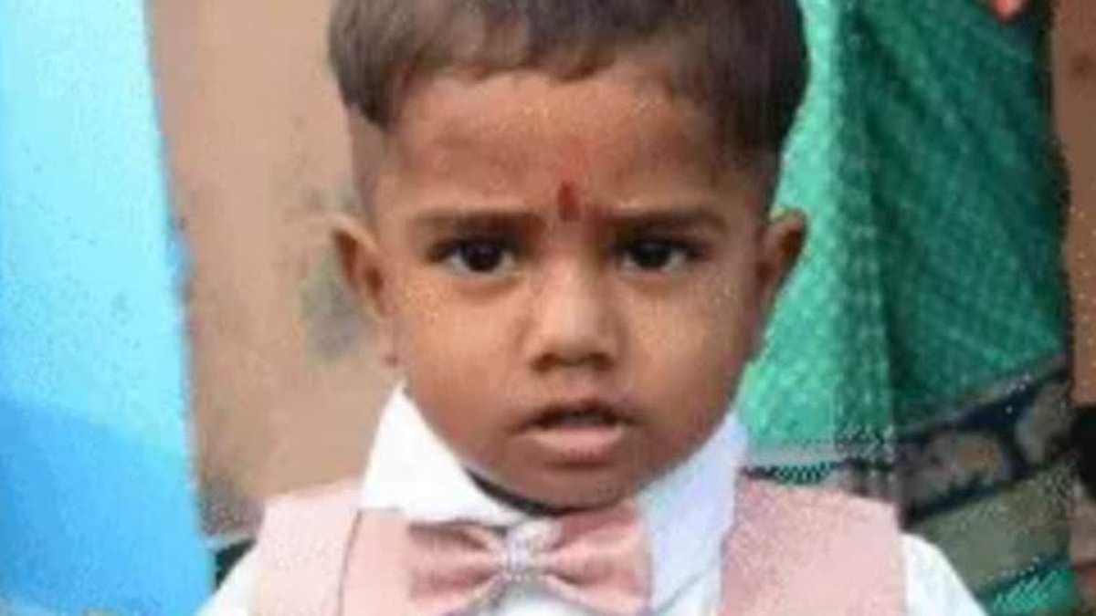 Father 'accidentally kills two-year-old son with an axe after hurling it at monkeys on his roof to chase them away'