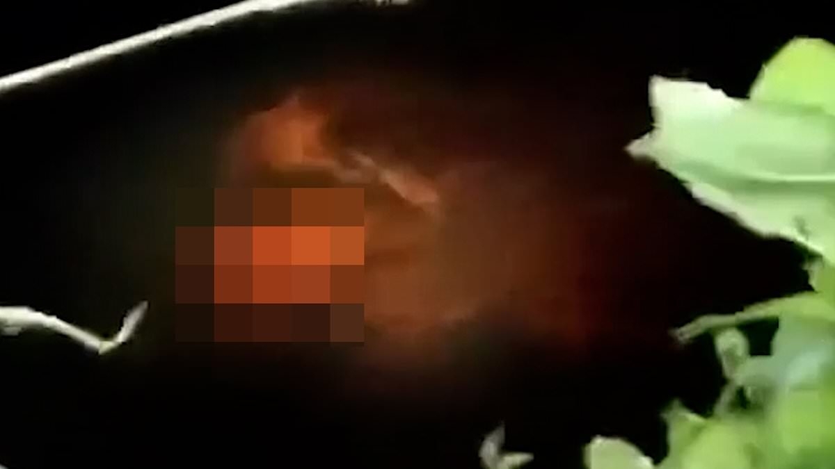 Horrifying moment crocodile carries body of teenager along river in its jaws after dragging him away in death roll in front of screaming friend