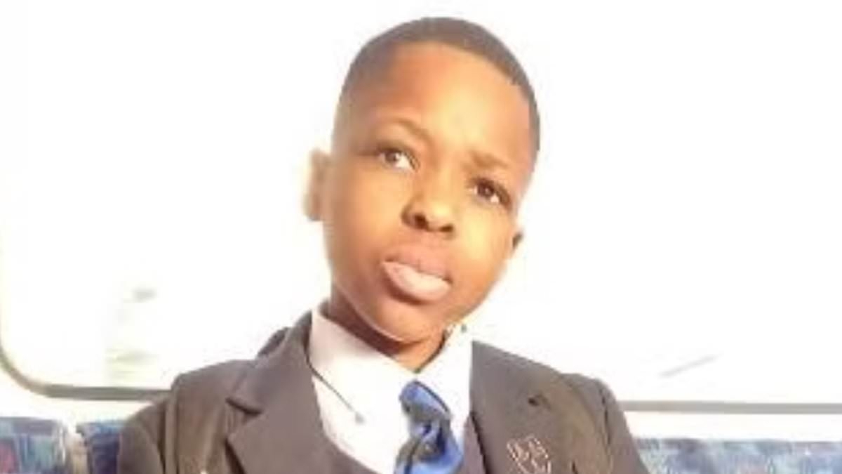 Killer hacked schoolboy, 14, to death 'in an instant' during 20-minute samurai sword rampage when he also tried to kill four others, court hears