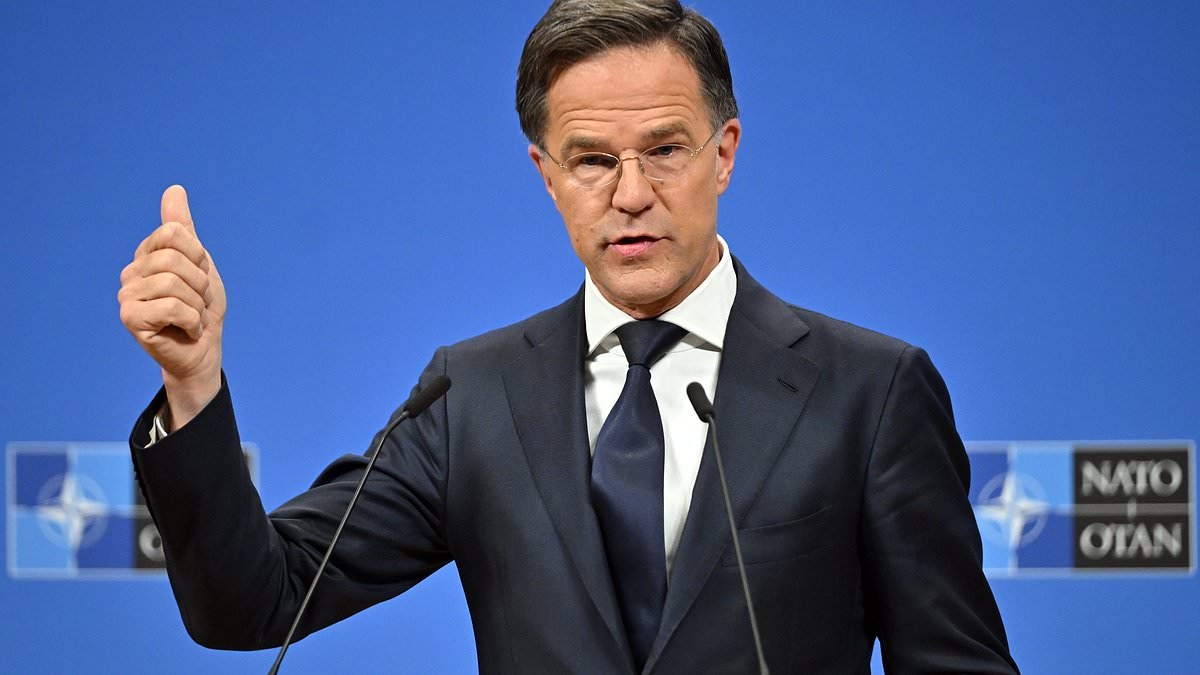 Will Nato states have to find $325BILLION a year more for defence? Alliance chief heaps pressure on Starmer saying Europe and Canada must 'equalise' contributions with the US