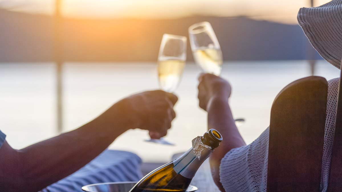 The best sparkling wines for summer sipping: How to get champagne taste on a prosecco budget - including a new £12 winner at Aldi