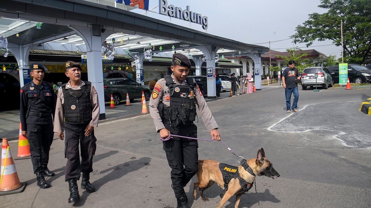 Second Aussie man accused of smuggling drugs into Bali is identified - as new details emerge