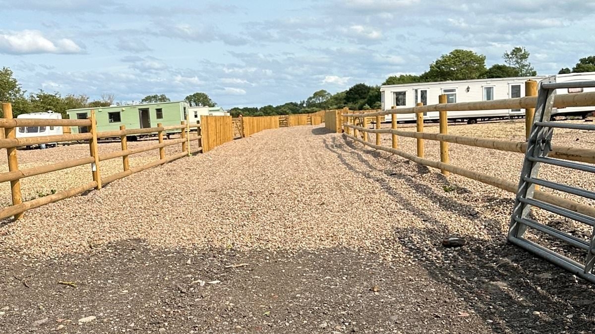 EXCLUSIVE 'Land-grabbing' travellers were 'lucky not to have caused a train crash' after using huge diggers to build an 'illegal' camp feet away from a major high-speed railway line, expert says