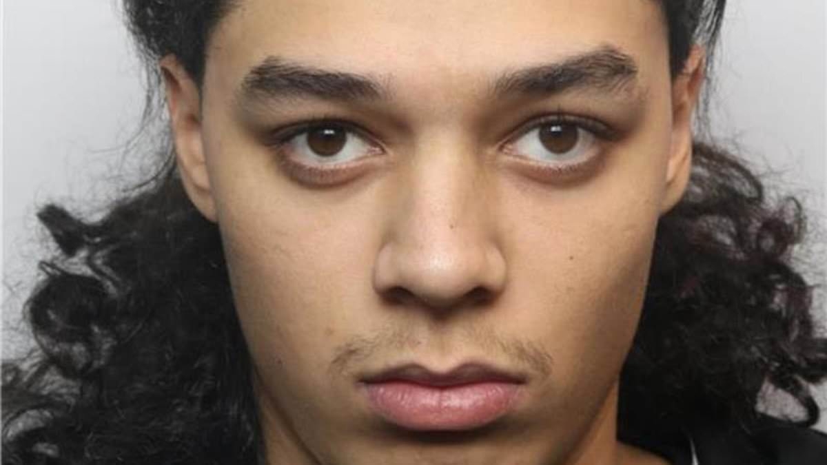 Teenager who left female 'police officer of the year' critically injured after mowing her down in Audi to avoid weed rap jailed for 31 months