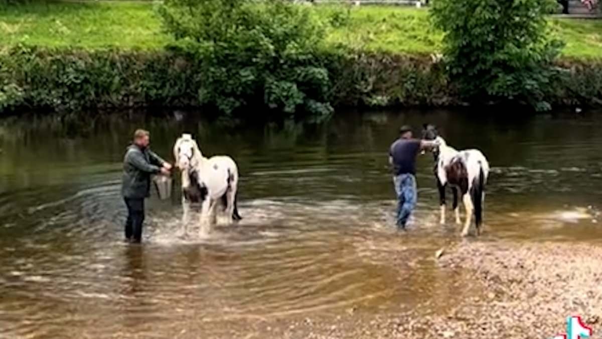 Travellers start the party early: Gypsies race wagons down tiny village streets, wash their horses in the river and make last-minute preparations ahead of Appleby Fair