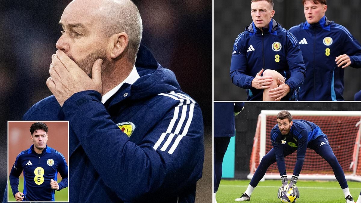 Games against Iceland and Liechtenstein may lack glamour but they are important to Steve Clarke and Scotland ahead of World Cup qualifying bid