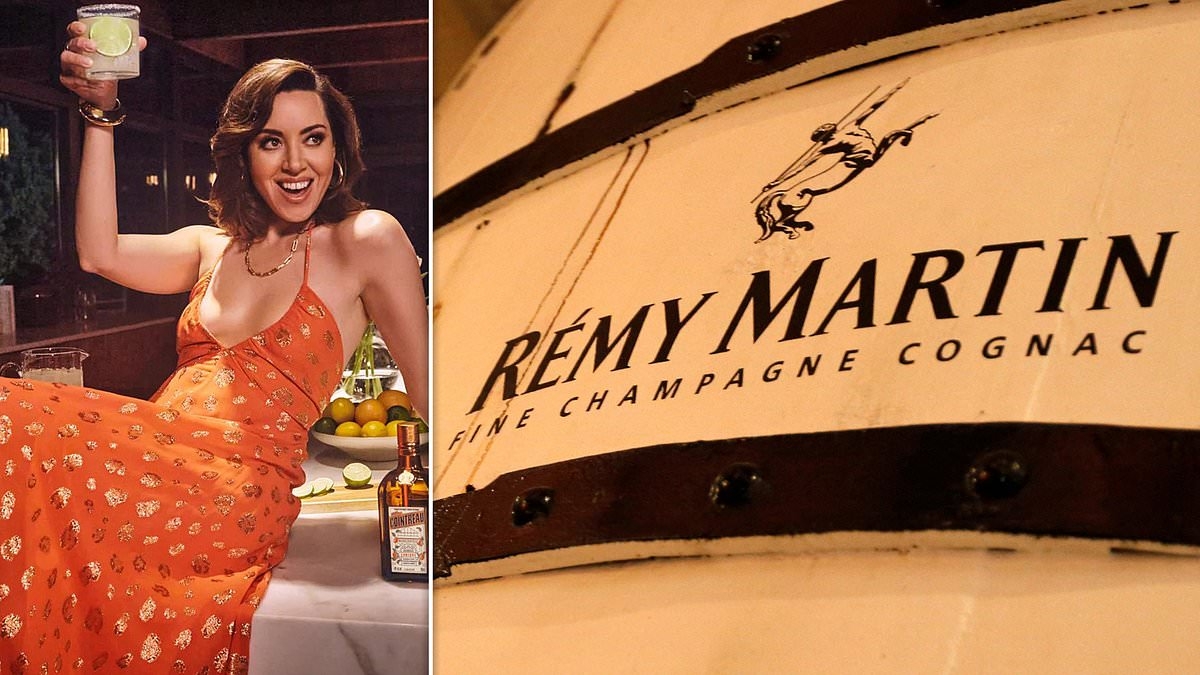 French brandy and liqueur-maker Remy Cointreau axes sales targets as Trump tariffs bite