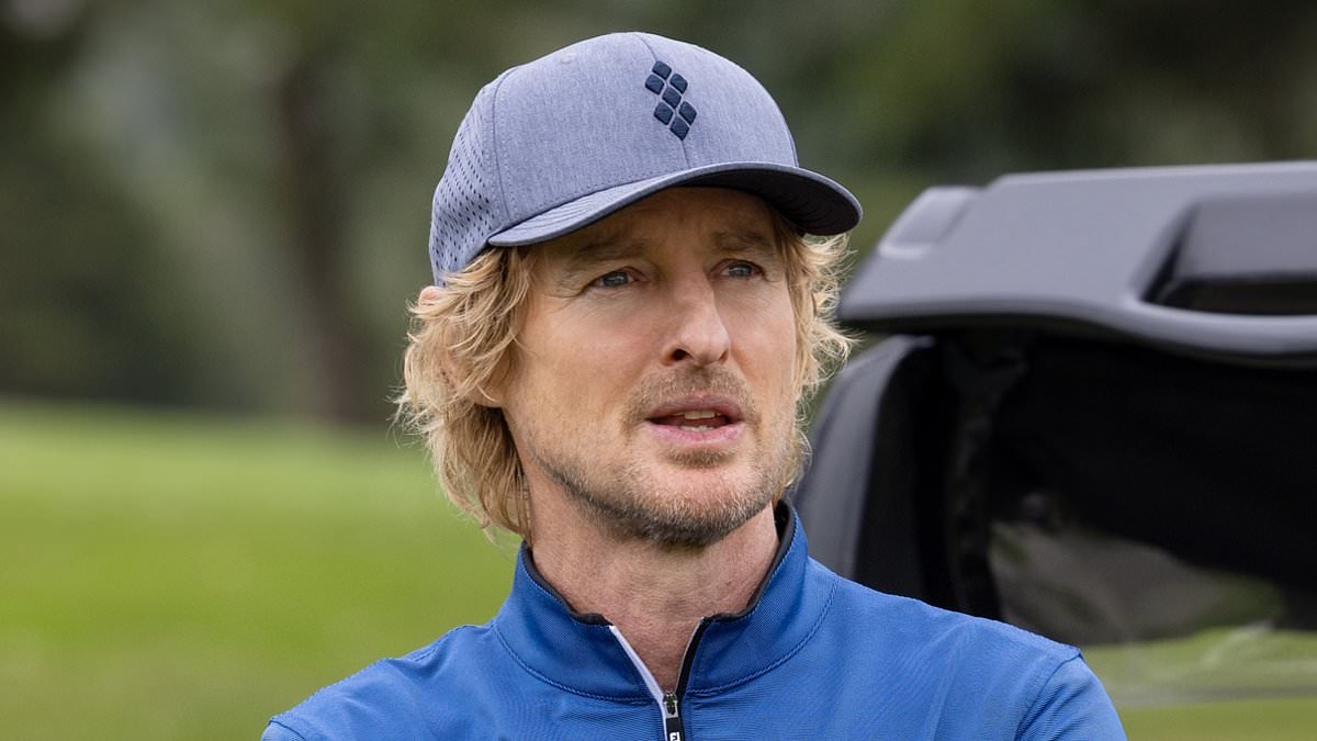 Unless you're a golfer, Owen Wilson's new comedy Stick doesn't make the cut, writes CHRISTOPHER STEVENS