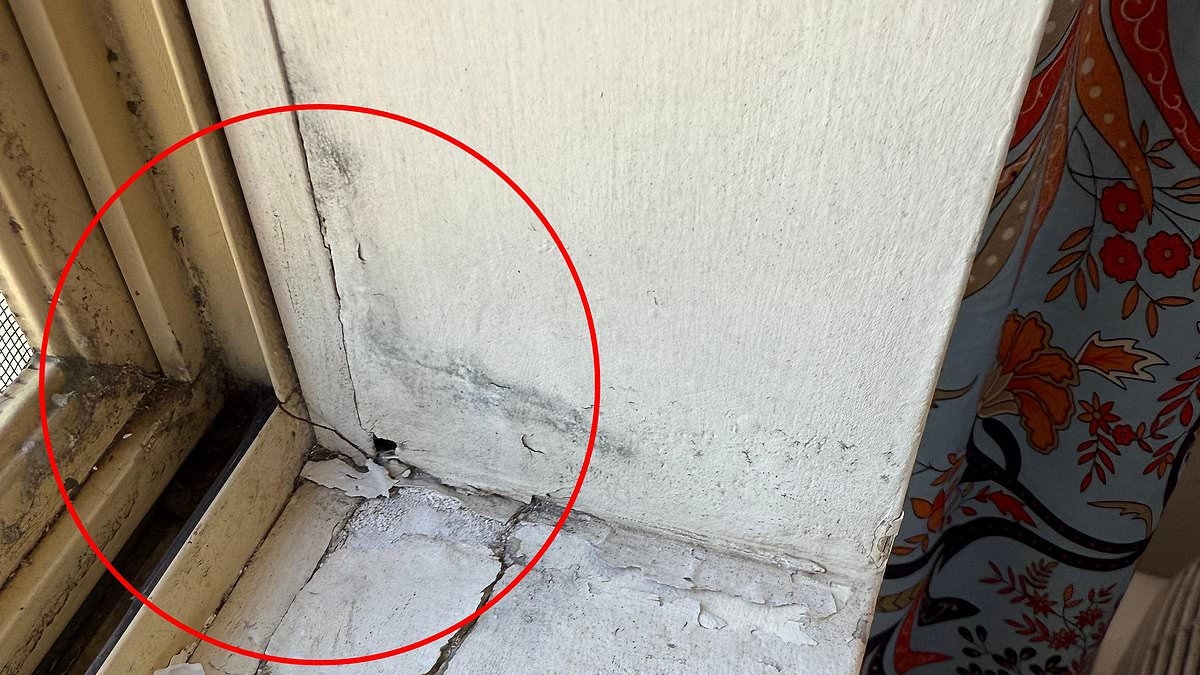 I finally found a rental in the crazy property market. Then my son started getting nosebleeds... and I realised our problems were far from over