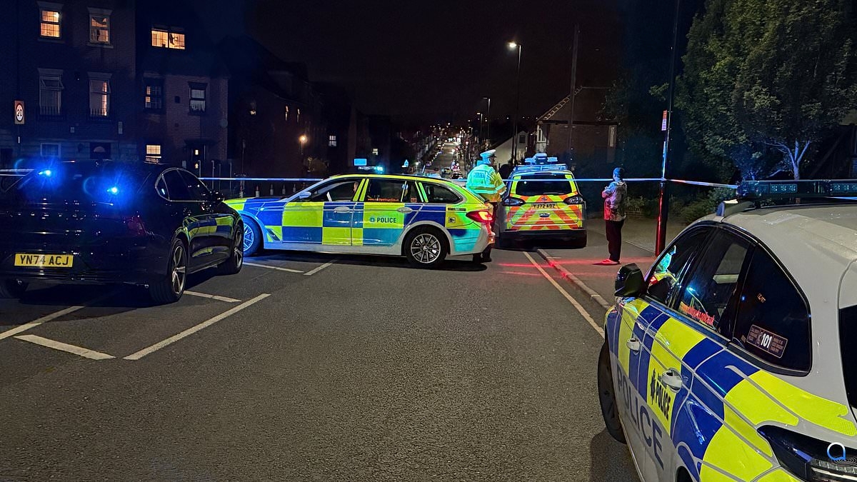 Teenage pedestrian dies and e-bike rider, 18, left fighting for his life in hospital after 'hit and run' involving Audi