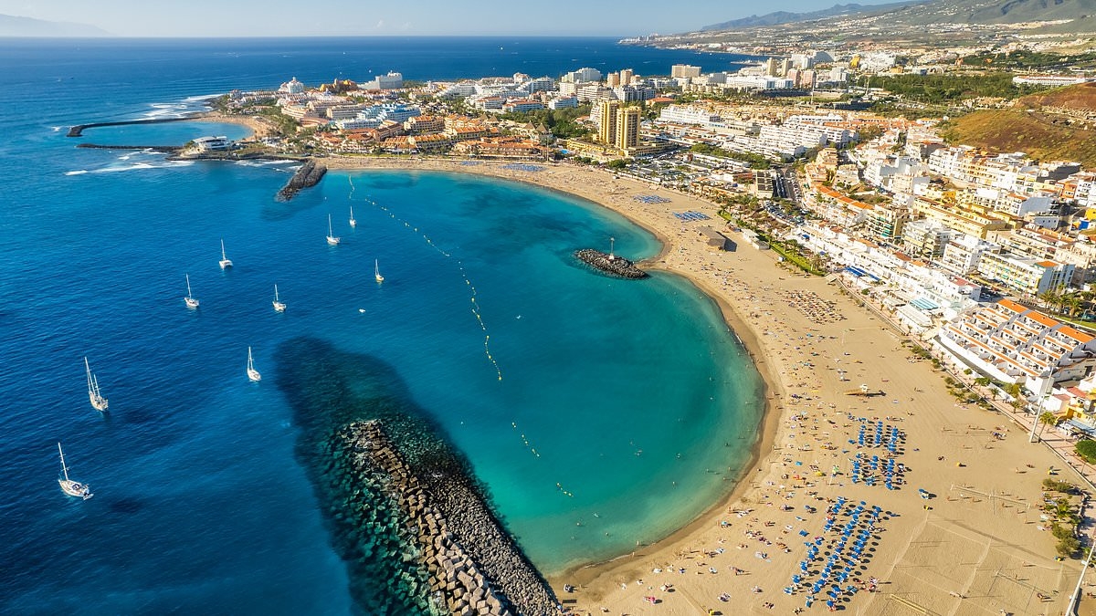 Brits told to 'remain vigilant' as one of world's most invasive ants found in Spanish tourist hotspot