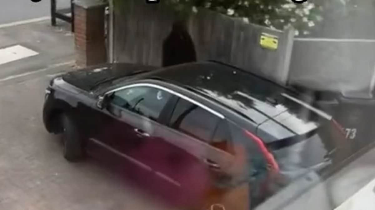 EXCLUSIVE Woman captures moment brazen 'thief' tries to break into car while filming TikTok video