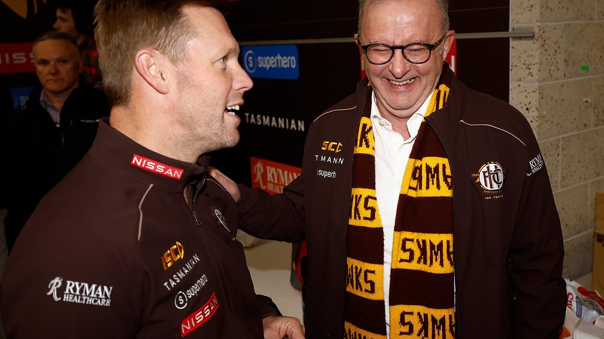 Anthony Albanese celebrates with delight alongside Hawks boss Sam Mitchell, after his side out-tackle the Bulldogs to return to winning ways