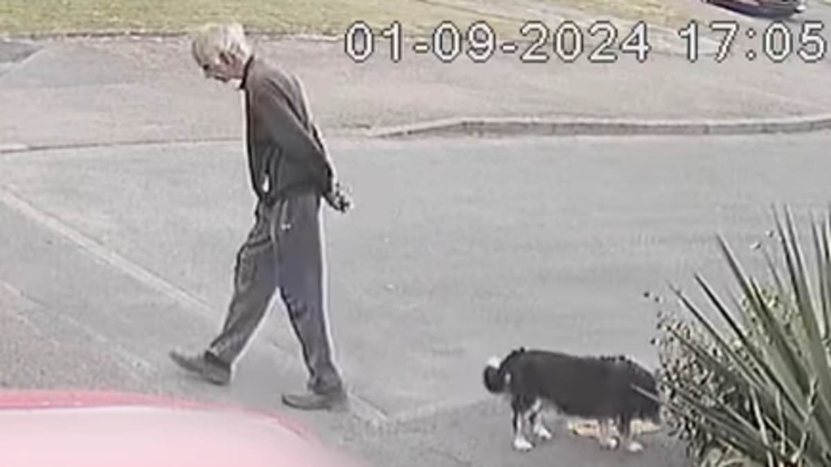 BREAKING NEWS Schoolboy, 15, who racially abused and killed dog walker metres from his home in 'wicked' attack is locked up for seven years