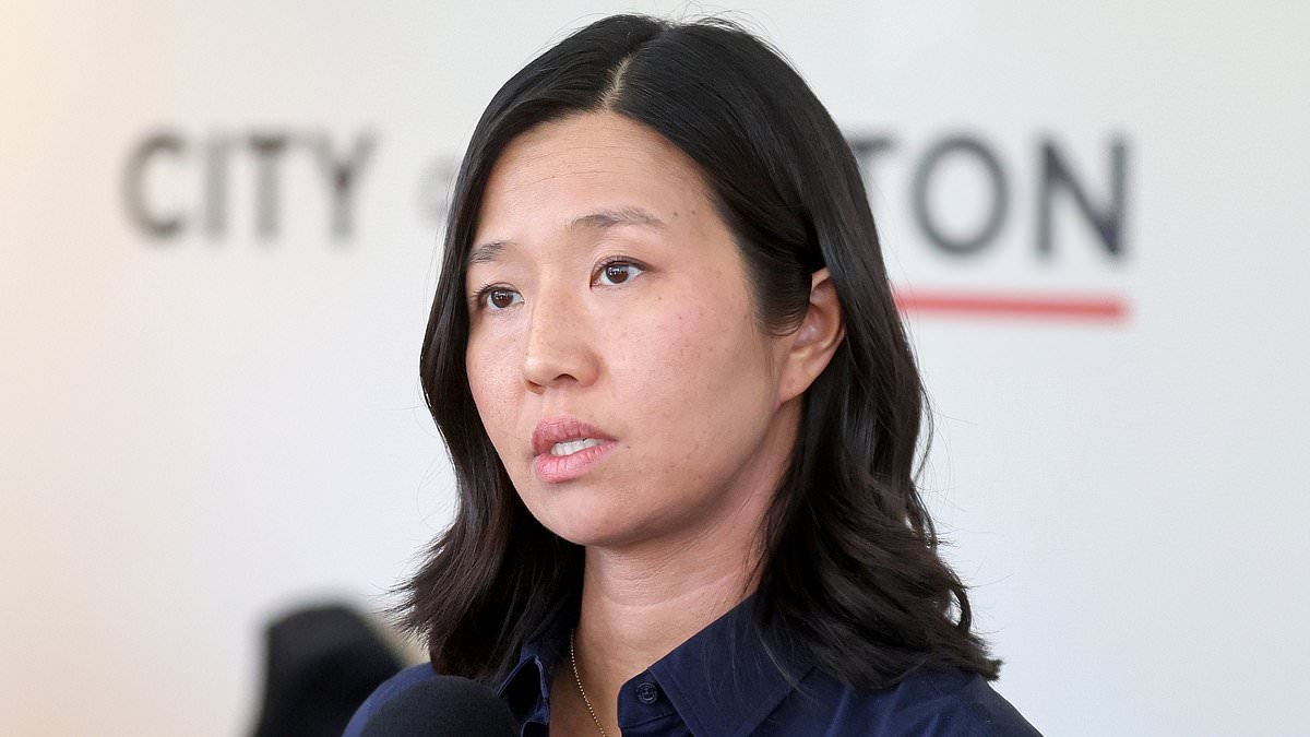 Boston's 'Democrat dictator' blasted for 'inciting violence' with wild allegation against ICE agents