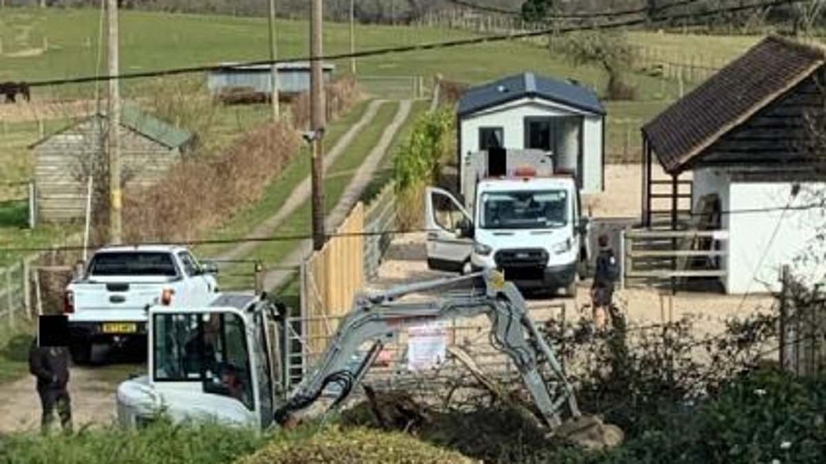 EXCLUSIVE Outrage as travellers 'destroy' tranquil New Forest village with 'illegal' land grab - as ex-minister rages 'civil rights' of those shamelessly flouting planning laws should be 'forfeited'