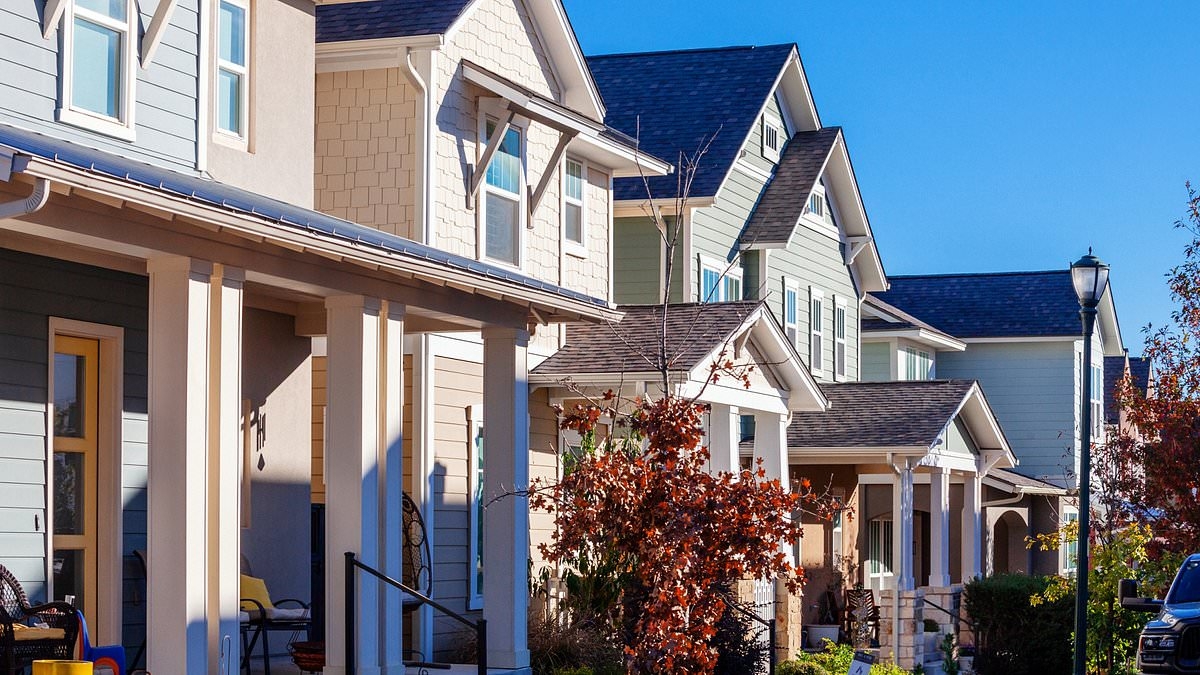 City dubbed 'Silicon Hills' sees college grads flock there for 'insane' deals including 2 months FREE rent