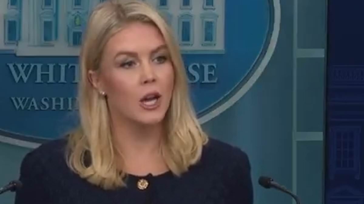Karoline Leavitt escalates war against 'fake news' BBC after dramatic back-and-forth on Hamas