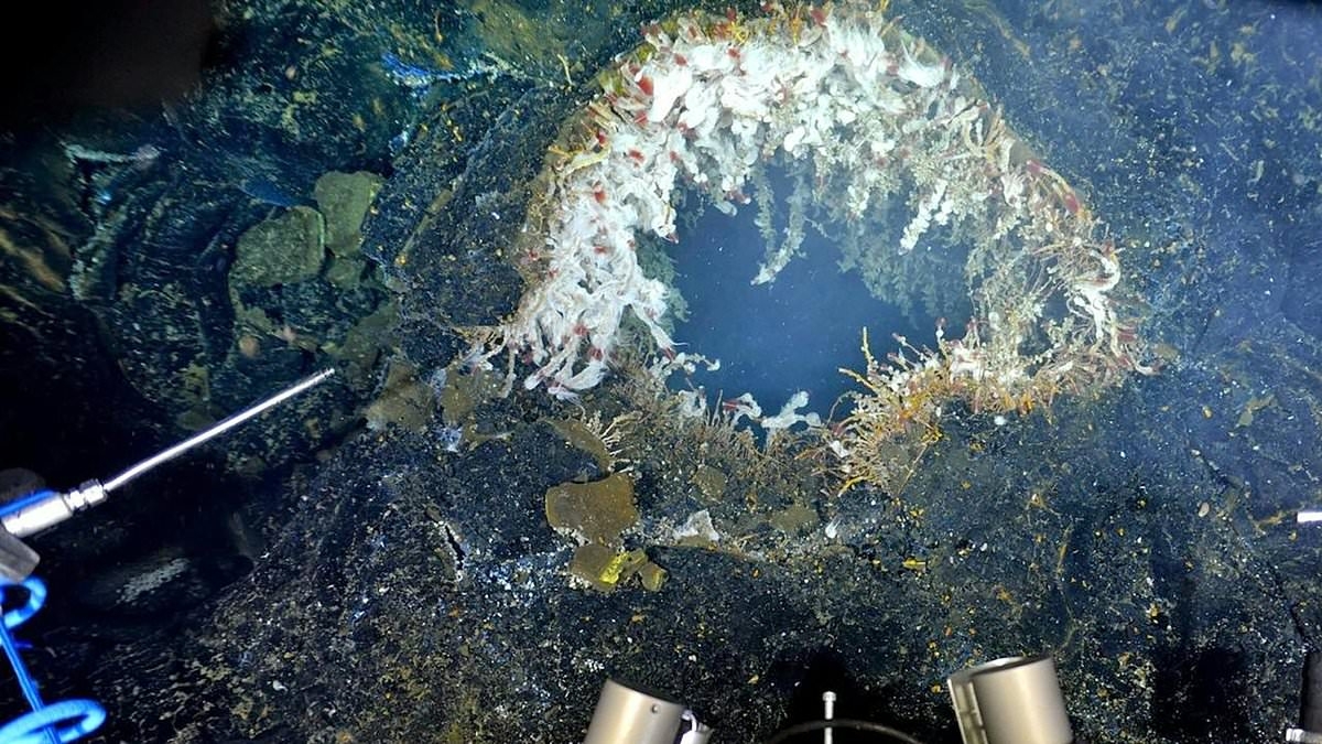 Scientists warn massive underwater volcano is 'ready' to ERUPT... and will release millions of tons of lava