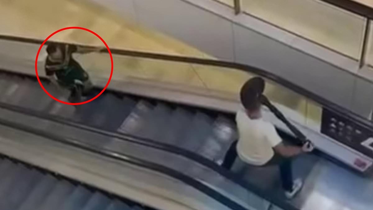 French heroes who confronted Joe Cauchi with bollards at Westfield Bondi Junction receive top accolade