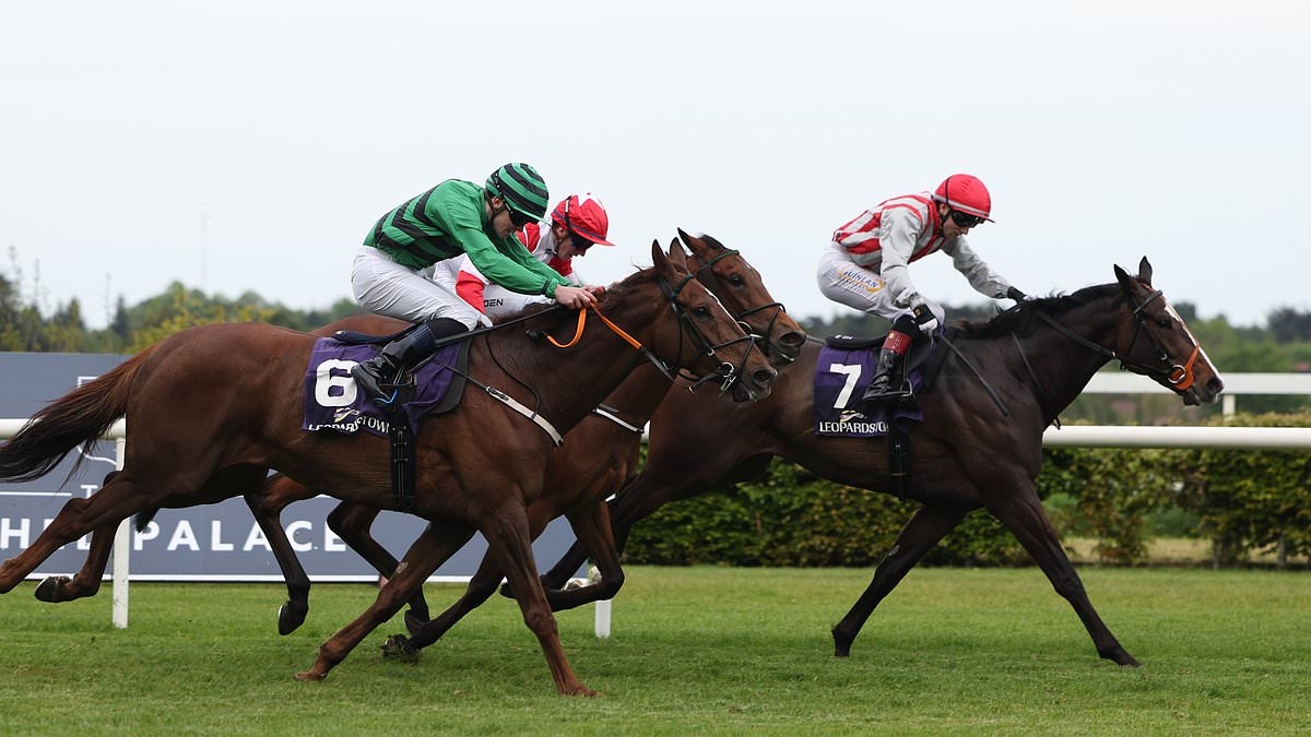 Robin Goodfellow's racing tips: Best bets for Friday, June 6