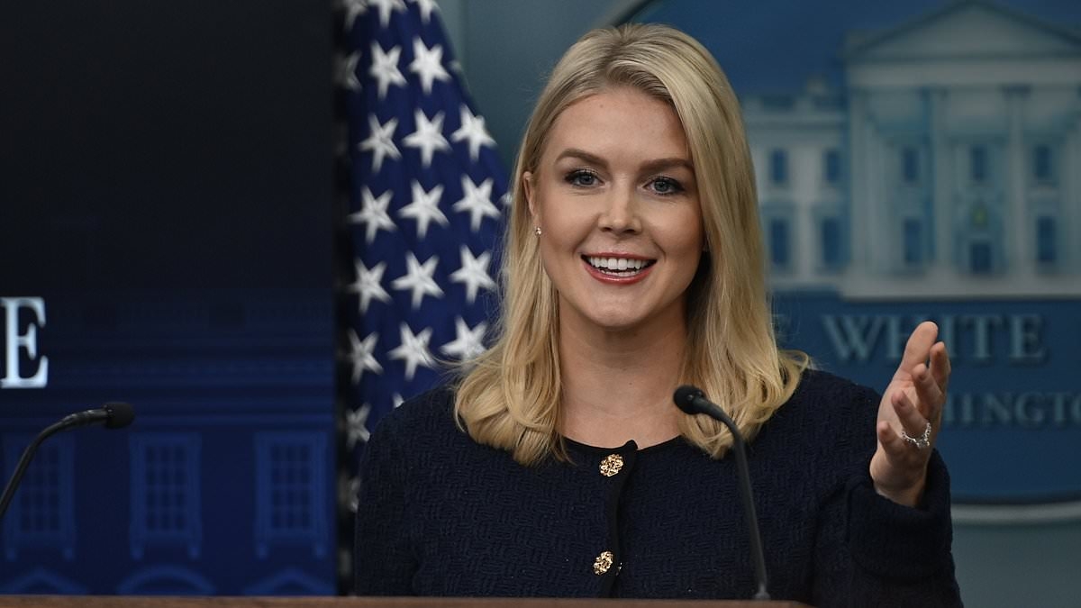 Karoline Leavitt makes it clear where she stands amid Trump-Musk feud with very telling post