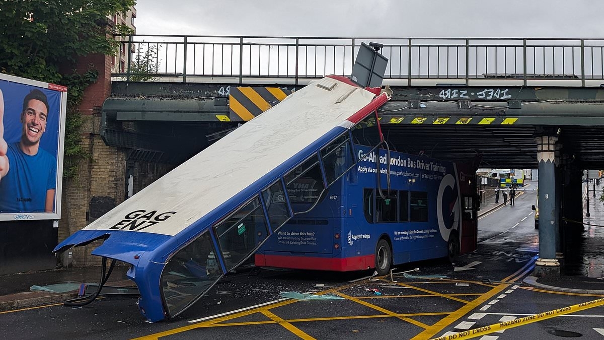 'Did I pass?' Driver training bus has roof ripped off in bridge crash