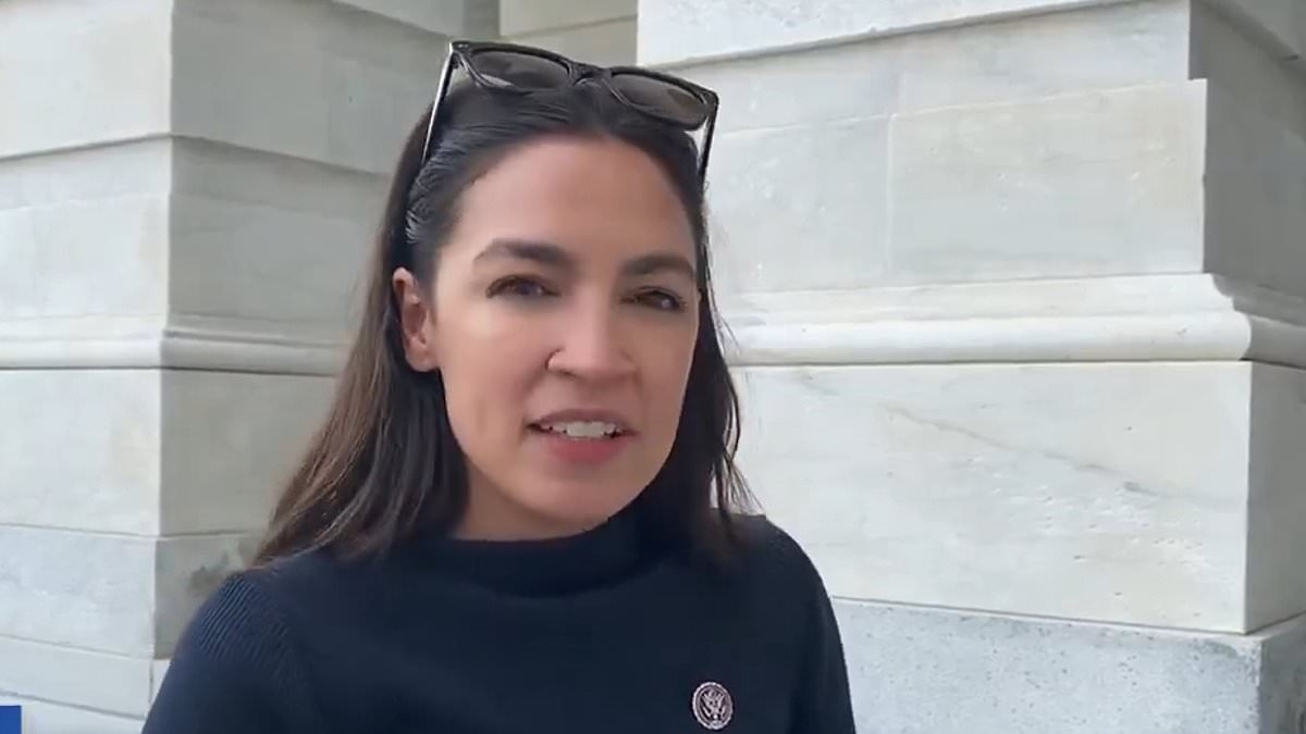 AOC gives hilarious take on Trump and Musk's feud that has rocked DC