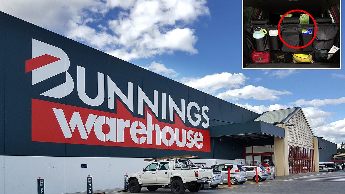 The must-have $20 item from Bunnings every driver needs: 'Total game changer'