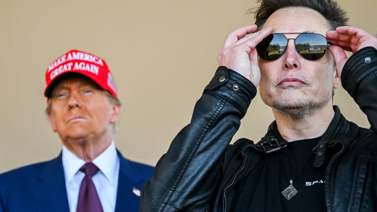 Tesla shares take $150bn plunge as Musk vs Trump erupts