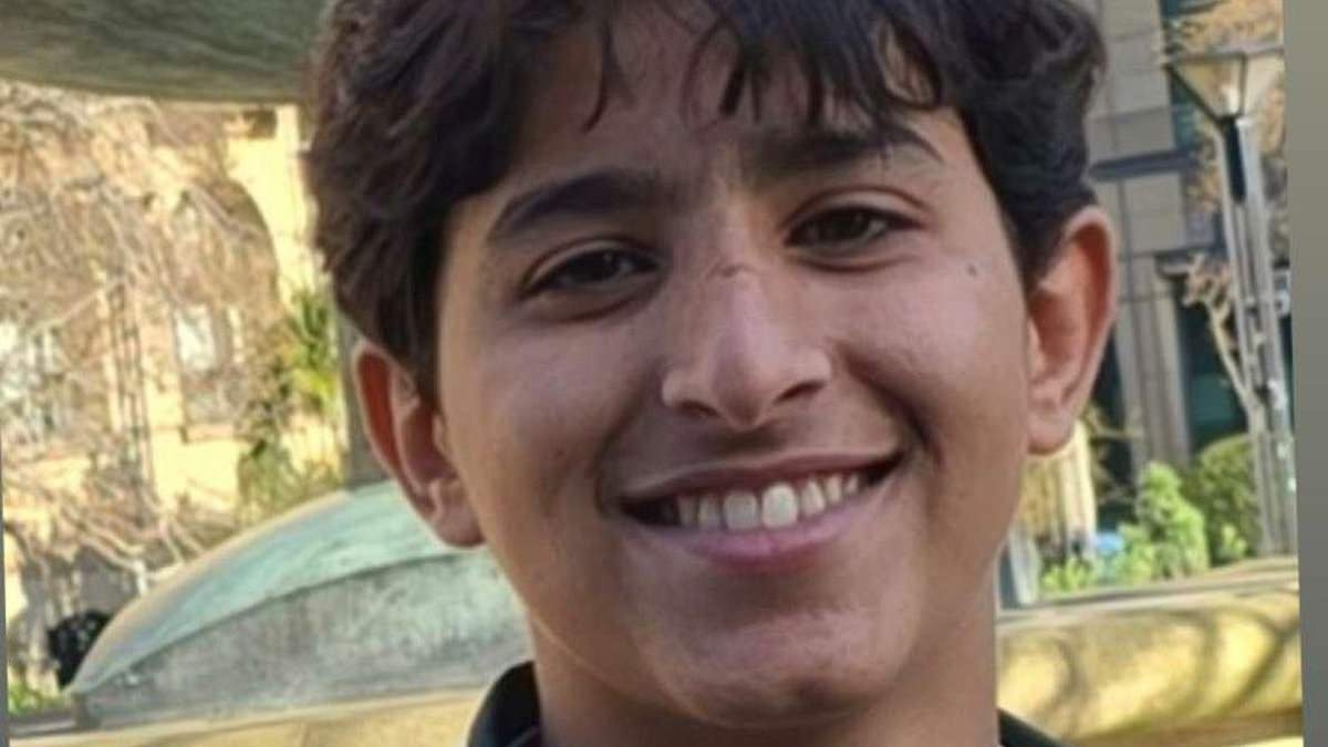 EXCLUSIVE Schoolboy pedestrian, 16, killed in fatal hit and run was 'going to meet father at shops' when he was mowed down by Audi that 'swerved towards e-bike riders'
