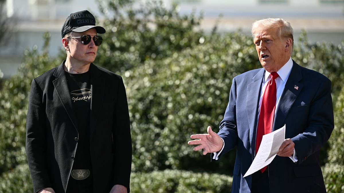 Musk extends Olive branch to Trump amid strained relationship