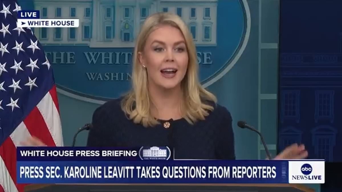 Karoline Leavitt weighs in on the Trump-Musk feud