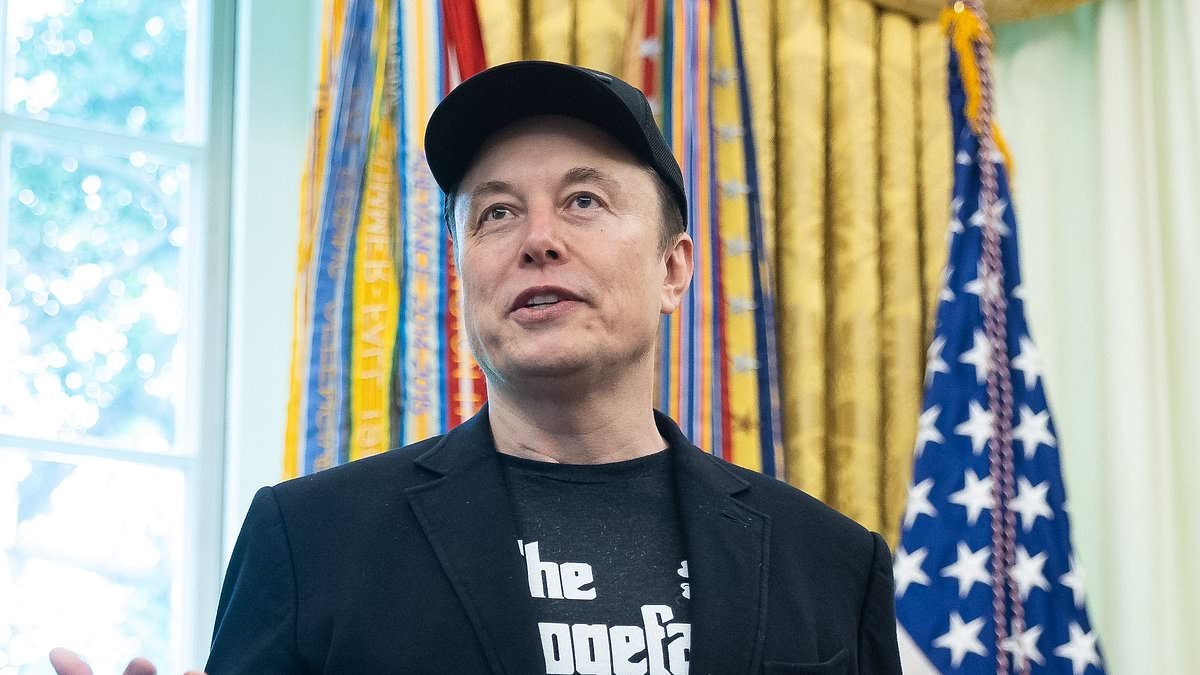 Elon Musk's net worth plunges amidst feud with Donald Trump