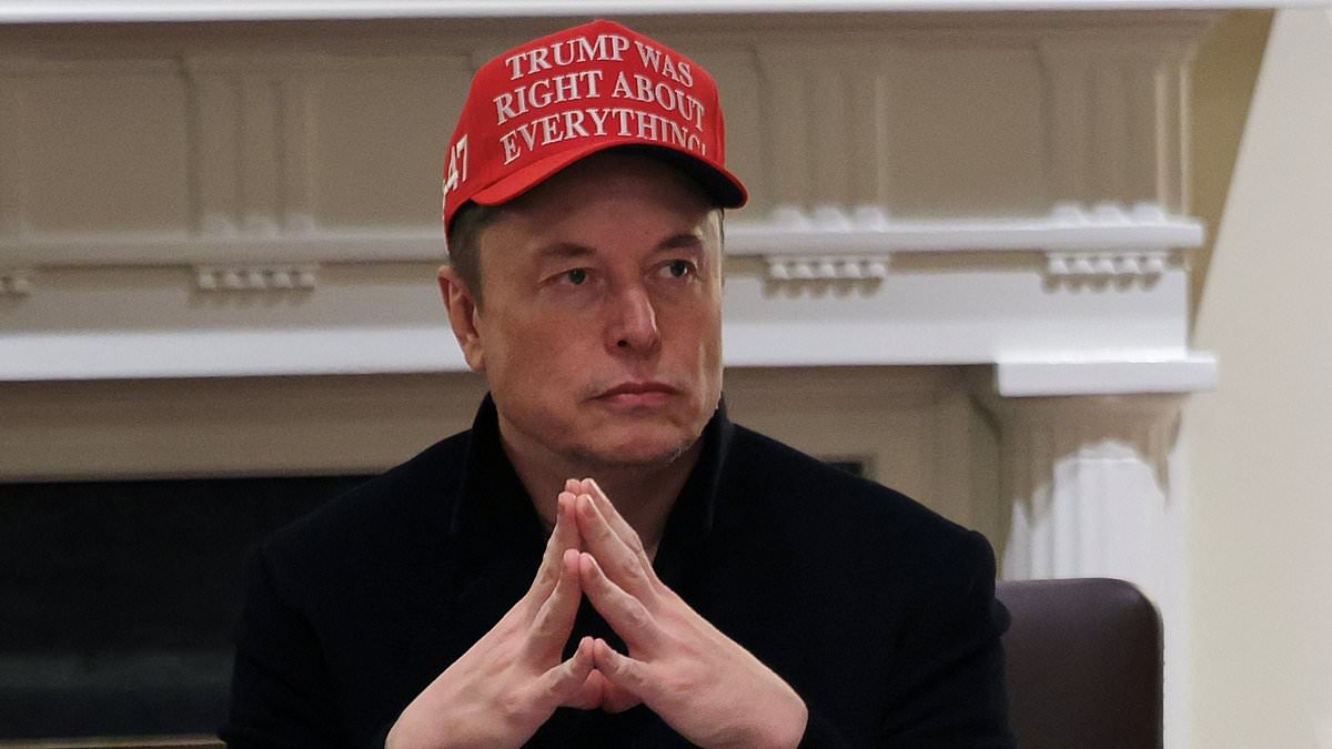 Musk's AI bot used to mock him with image of Tesla on sale