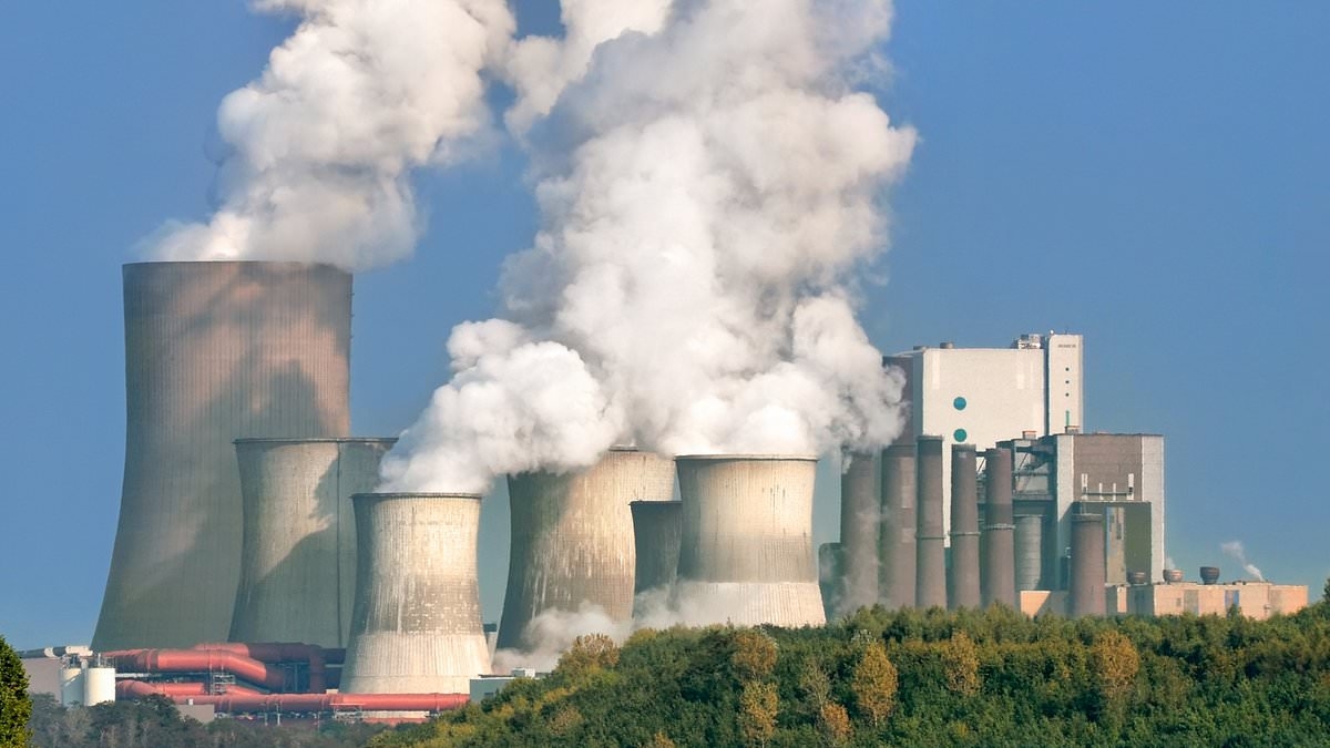 Earth's CO2 hits highest recorded level in human history, experts say