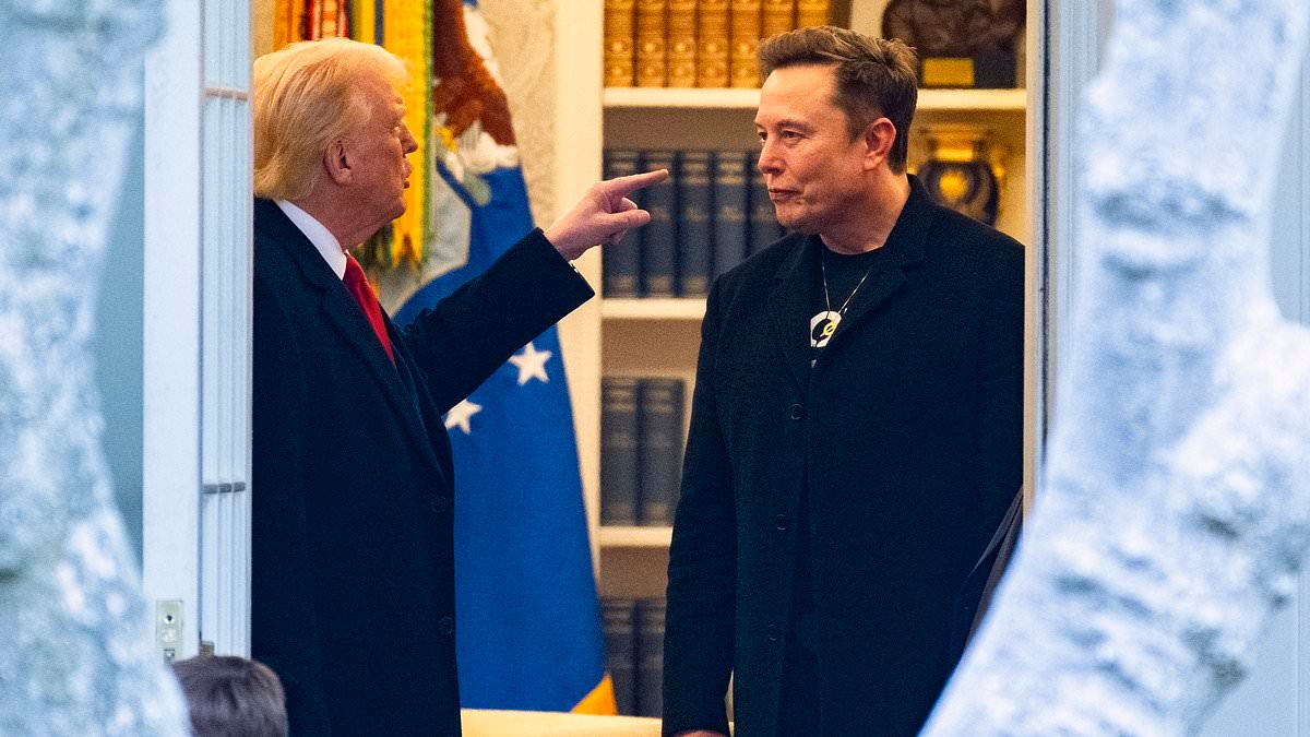 The influential Trump advisor who triggered the president's spectacular split with Elon Musk