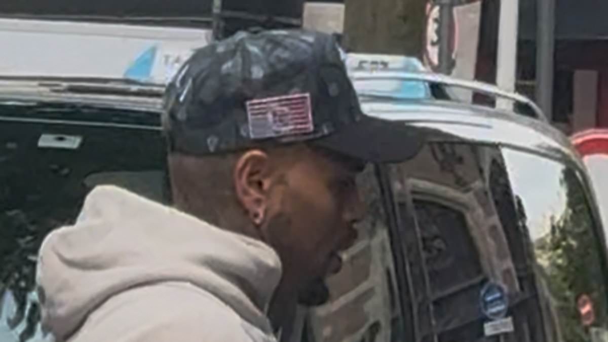 Chris Brown emerges in Amsterdam as he prepares to take to the stage for his first concert since being released on £5million bail over alleged nightclub bottle attack