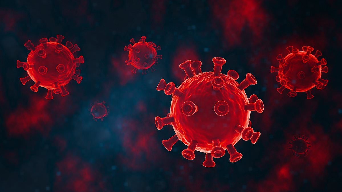 Shock Covid warning: Ultra-catchy 'Nimbus' variant could trigger summer wave amid 97 per cent infection surge