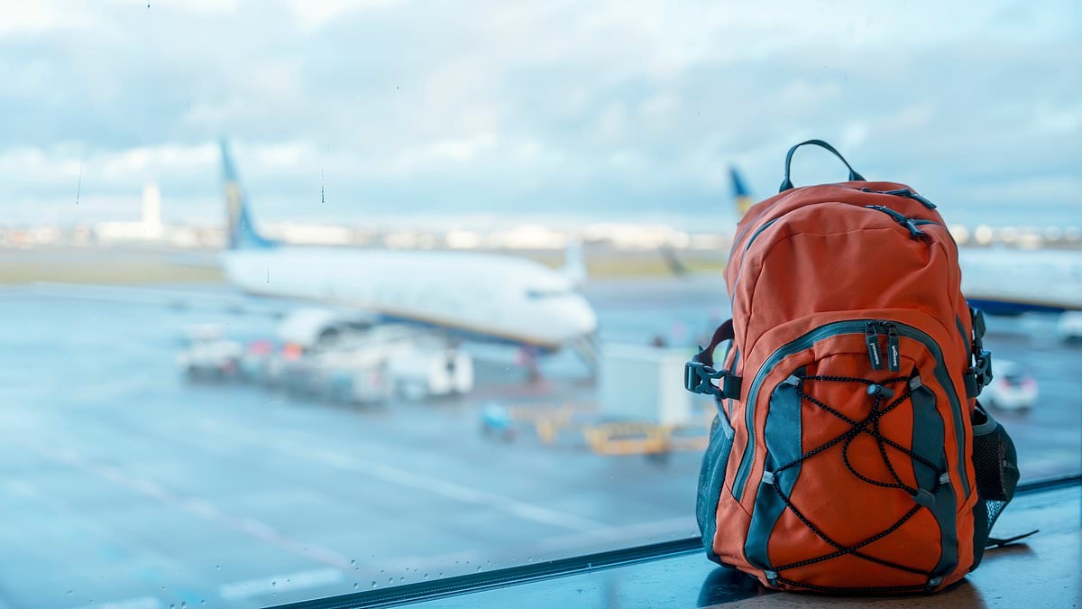 Airline passenger has checked bag rejected for surprising reason