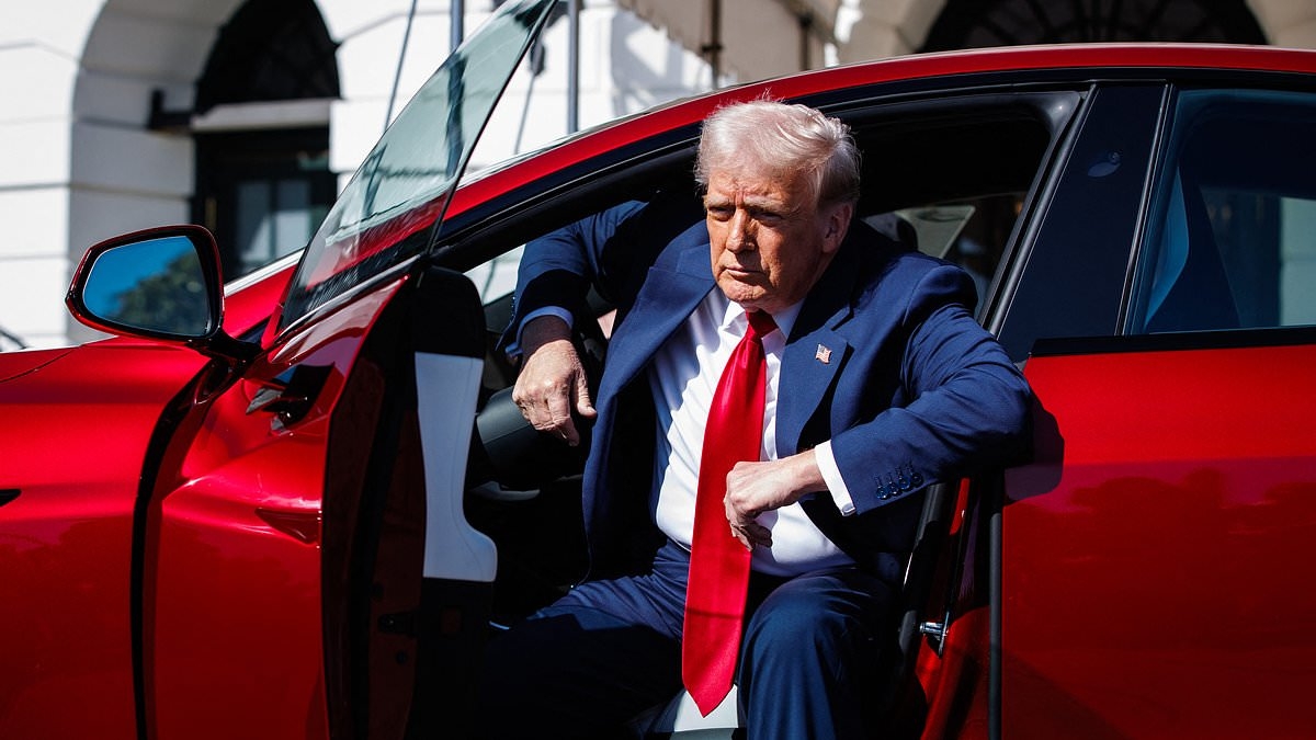 Report: Trump may sell his brand-new Tesla