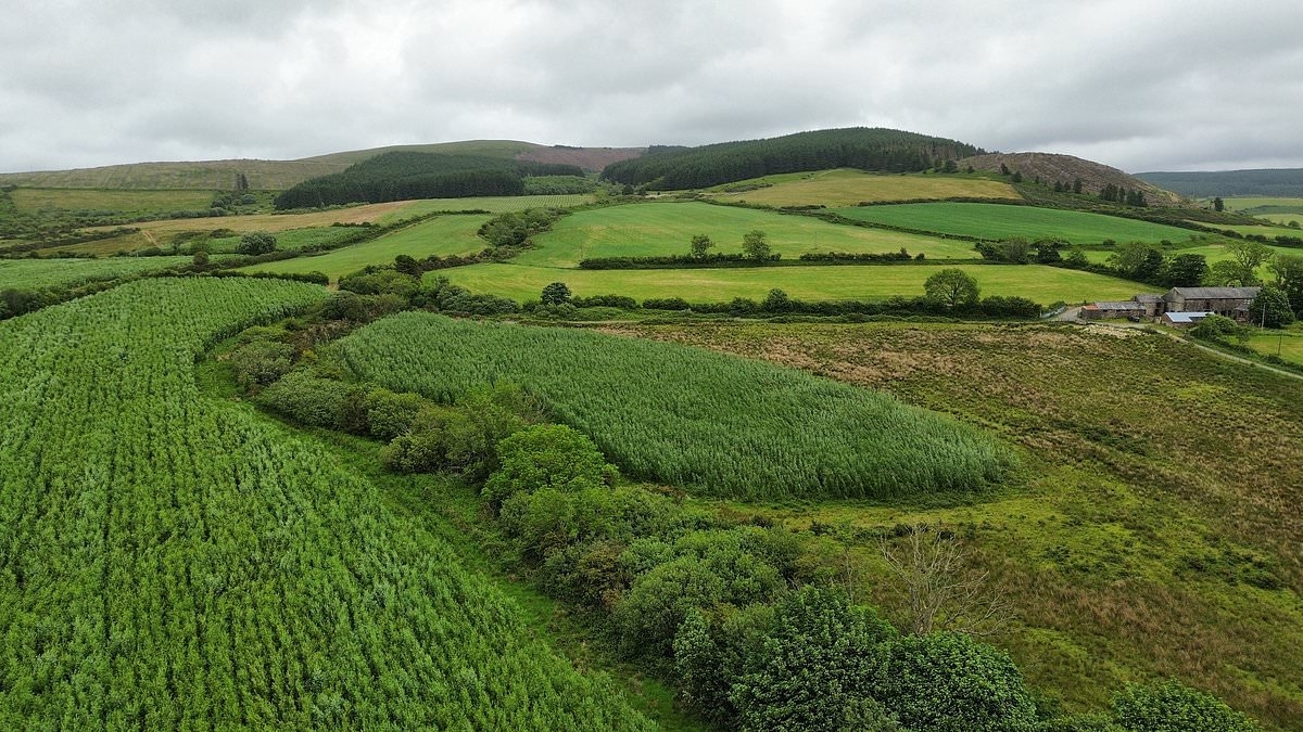 Why a market town refused £700,000 from developers - despite the promise of energy for 15,000 homes