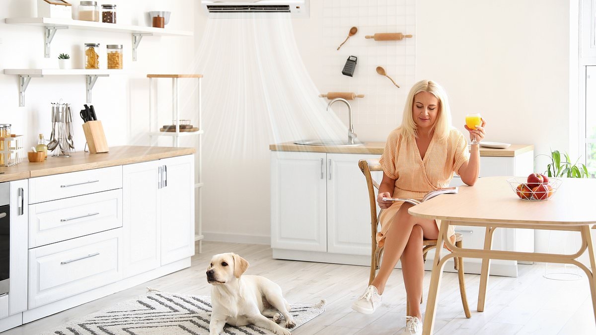 Urgent nationwide recall of 1.7m popular home appliances as 17 people are poisoned