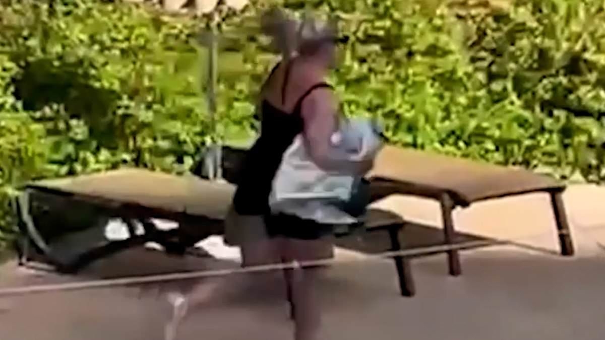 And they're off! Hilarious moment Brits on holiday race each other to reserve sunbeds in Magaluf the second resort's pool opens