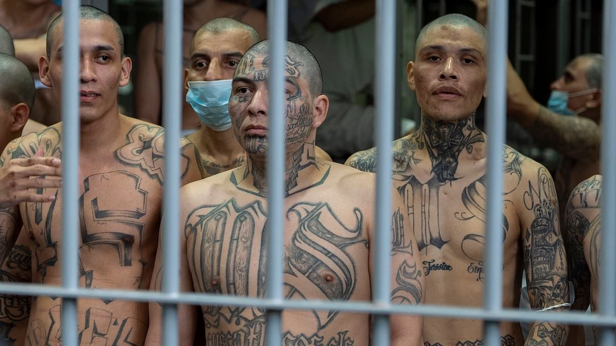 How feared drug cartels including Sinaloa and MS-13 are now operating INSIDE Europe with gangsters setting up meth labs in soft-touch EU to avoid growing US pressure in Latin America