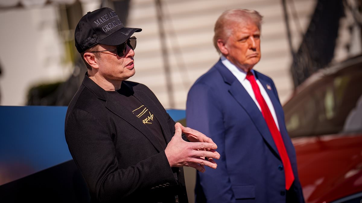 Elon Musk backs down in Trump battle as Tesla stocks nosedive and MAGA threatens to kick him out the country